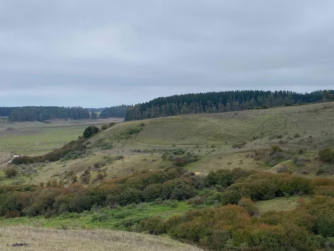 Parcelas de agrado, Pahuil, Chanco (170584)