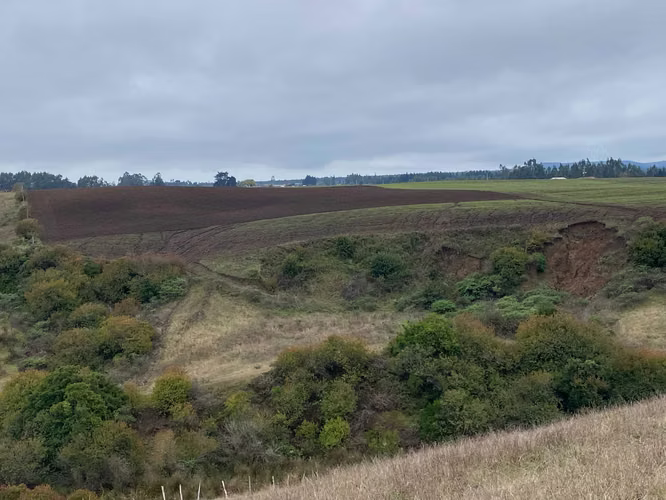 Parcelas de agrado, Pahuil, Chanco (170584)