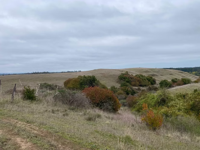 Parcelas de agrado, Pahuil, Chanco (170584)