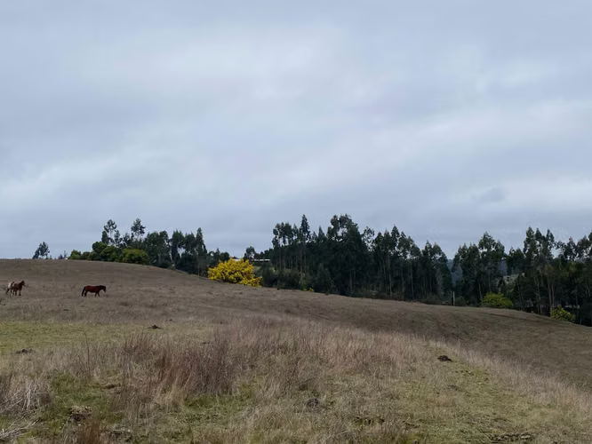 Parcelas de agrado, Pahuil, Chanco (170584)