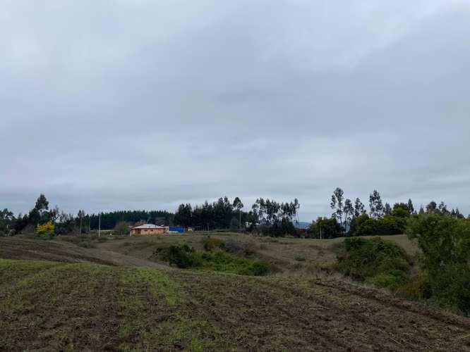 Parcelas de agrado, Pahuil, Chanco (170584)