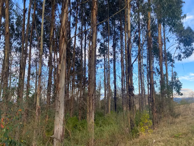 Venta de exclusivo terreno en Alto Rio Quitacalzón