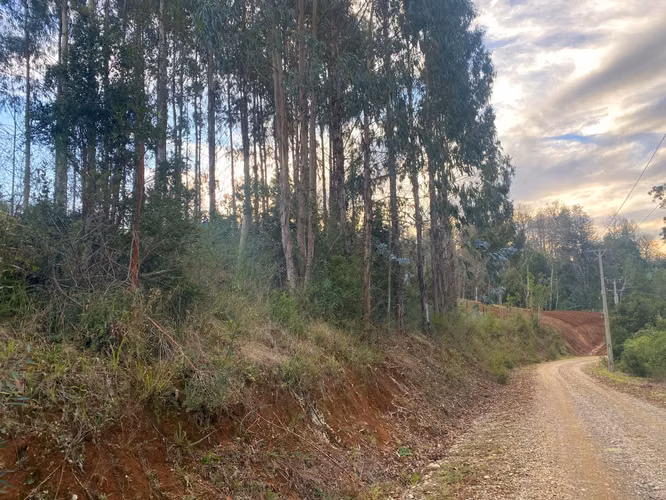 Venta de exclusivo terreno en Alto Rio Quitacalzón