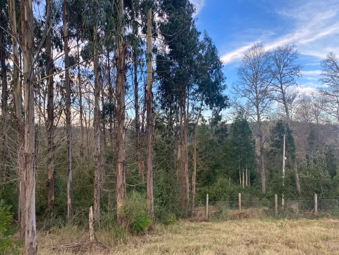 Venta de exclusivo terreno en Alto Rio Quitacalzón