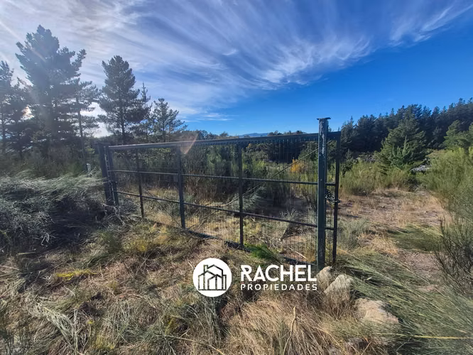 EN VENTA 2 TERRENOS DE 1,53 HECTAREAS CAMINO PUCON-CABURGUA