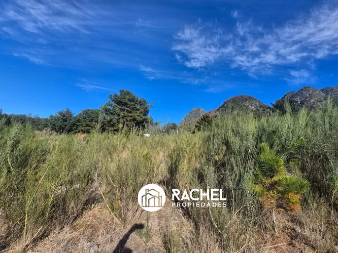 EN VENTA 2 TERRENOS DE 1,53 HECTAREAS CAMINO PUCON-CABURGUA