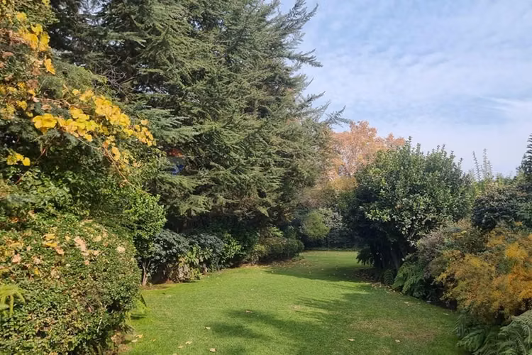 Tu nuevo hogar en san damián te espera