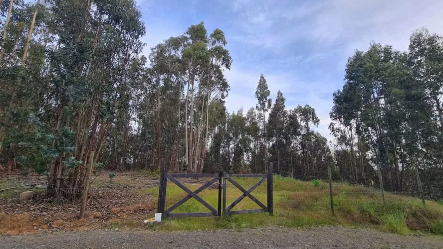 Comuna Chanco - Cauquenes  (170681)