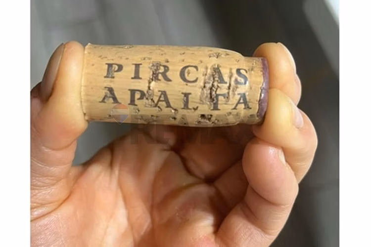 Winelot pircas de apalta