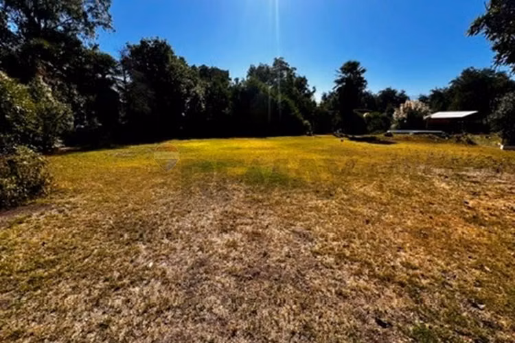 Venta terreno 10.500 mt2 chicureo