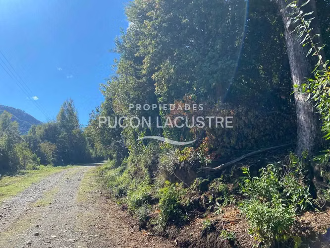 Parcela con Vista Panorámica Lago Villarrica (170659)