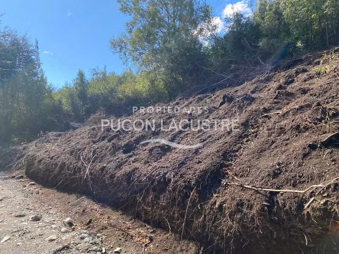 Parcela con Vista Panorámica Lago Villarrica (170659)