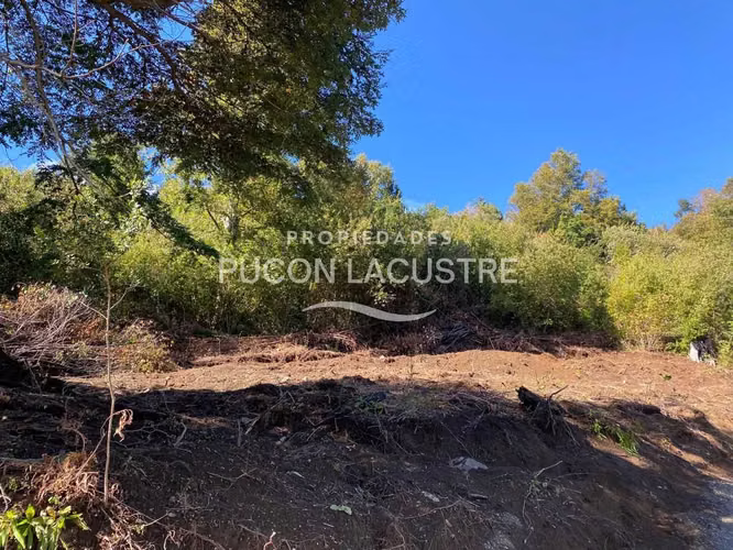 Parcela con Vista Panorámica Lago Villarrica (170659)