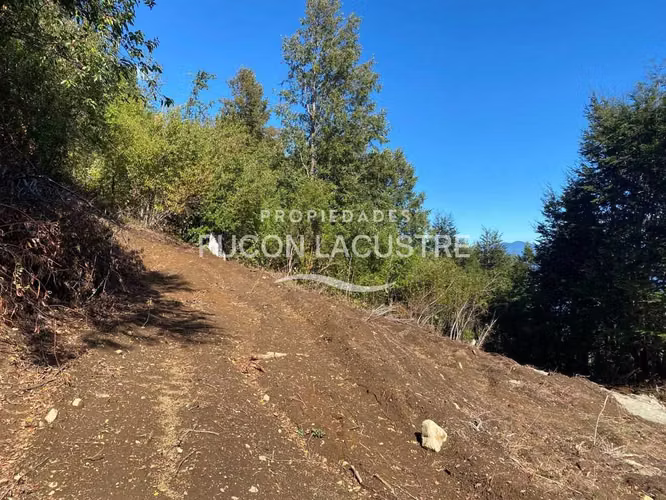 Parcela con Vista Panorámica Lago Villarrica (170659)