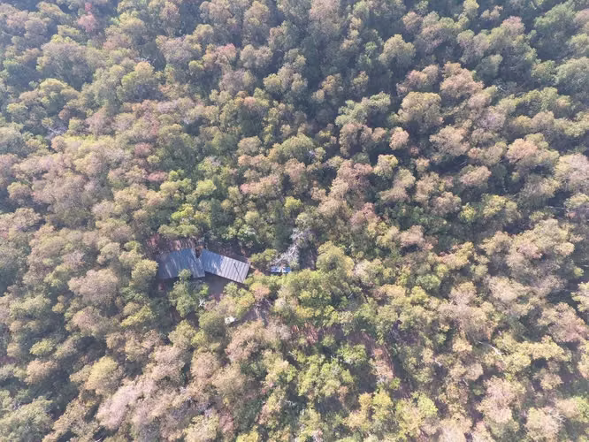GRAN TERRENO (170727)