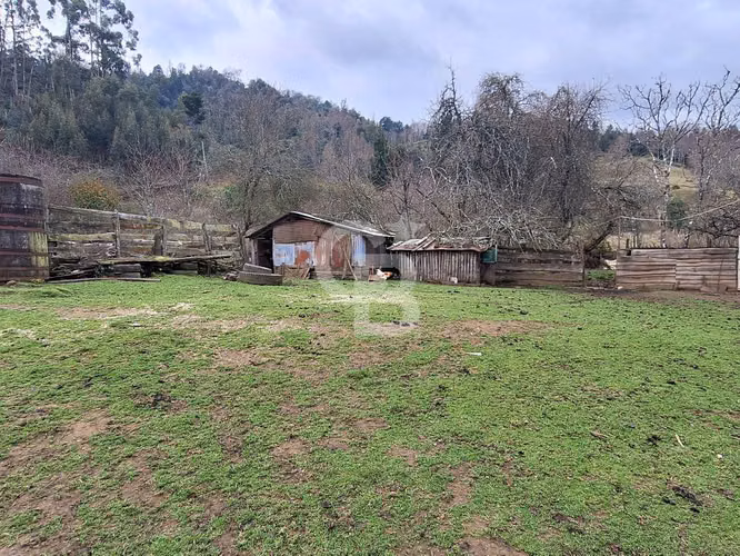 Parcela 39 ha Quemeumo: gran opción de explotación forestal