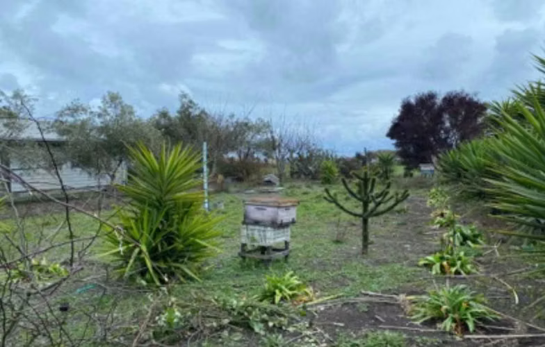 Oportunidad para Invertir en Terreno  (170777) - Imagen 15