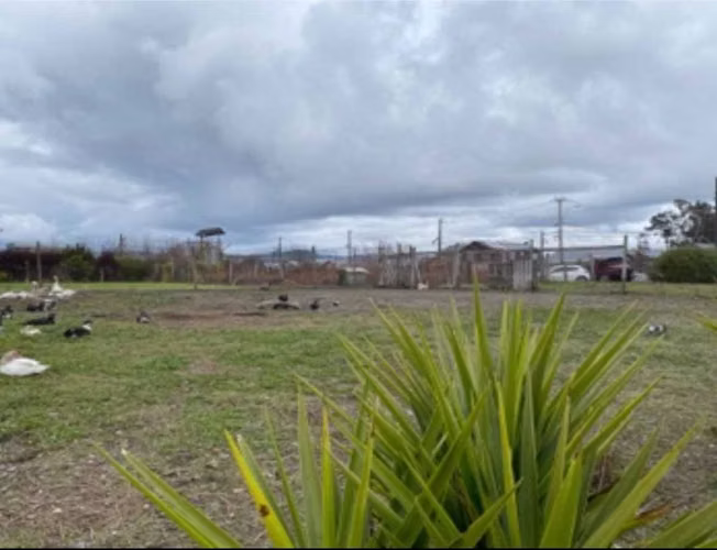 Oportunidad para Invertir en Terreno  (170777) - Imagen 12