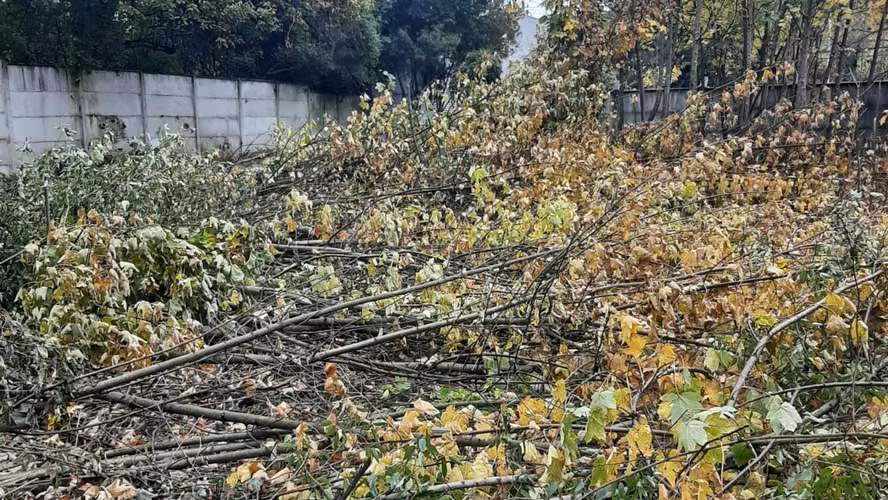 Venta terreno de 5.115 m² para Desarrollo Inmobiliario | Zona C2 Osorno