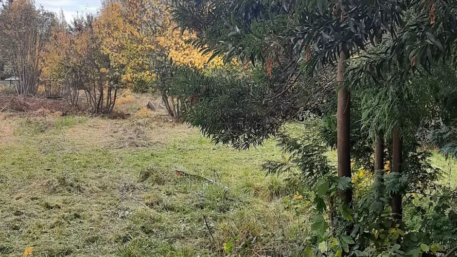 Venta terreno de 5.115 m² para Desarrollo Inmobiliario | Zona C2 Osorno