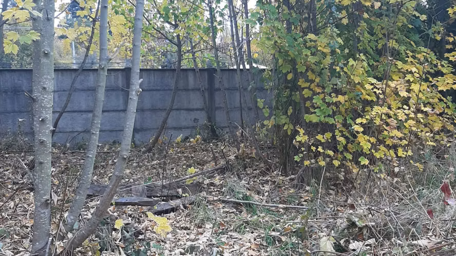 Venta terreno de 5.115 m² para Desarrollo Inmobiliario | Zona C2 Osorno