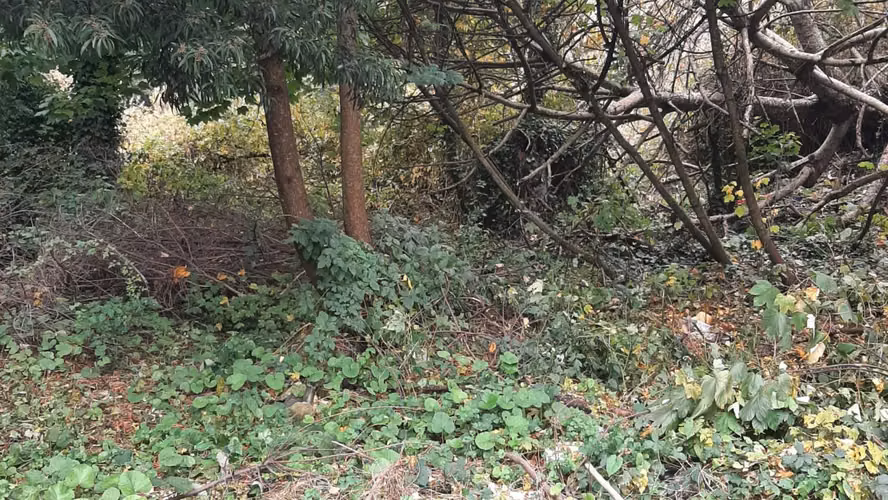 Venta terreno de 5.115 m² para Desarrollo Inmobiliario | Zona C2 Osorno