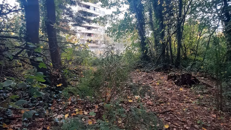 Venta terreno de 5.115 m² para Desarrollo Inmobiliario | Zona C2 Osorno