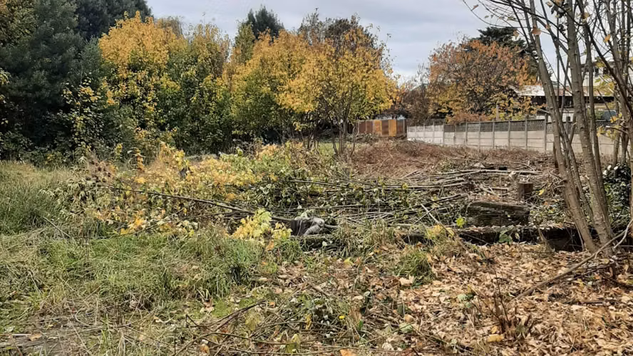 Venta terreno de 5.115 m² para Desarrollo Inmobiliario | Zona C2 Osorno