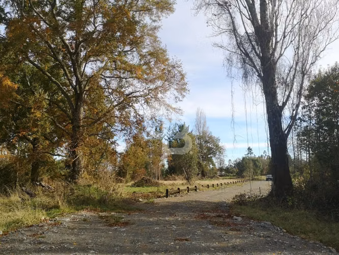 Parcelas de Agrado en Lago Puyehue