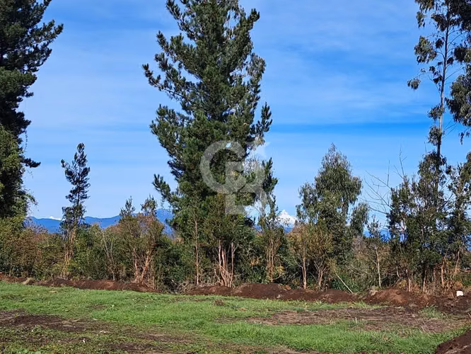 Parcelas de Agrado en Lago Puyehue