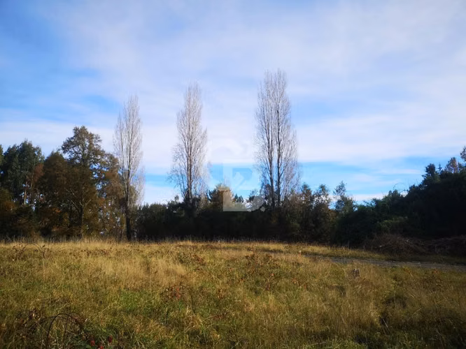 Parcelas de Agrado en Lago Puyehue