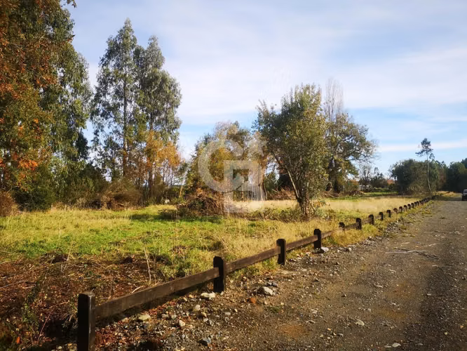 Parcelas de Agrado en Lago Puyehue
