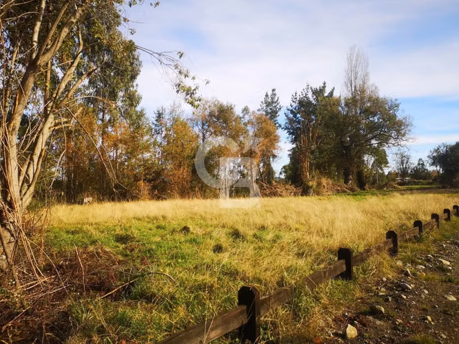 Parcelas de Agrado en Lago Puyehue