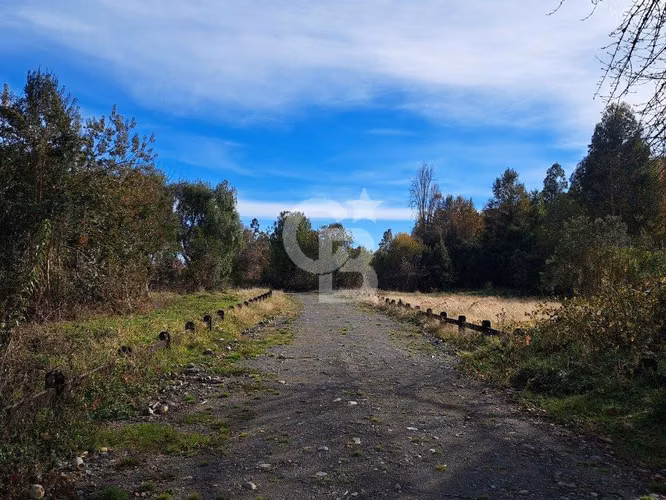 Parcelas de Agrado en Lago Puyehue