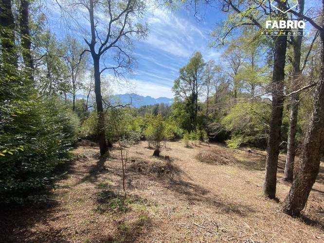 EN VENTA | EXCELENTE TERRENO EN SECTOR CANDELARIA - 5000M2