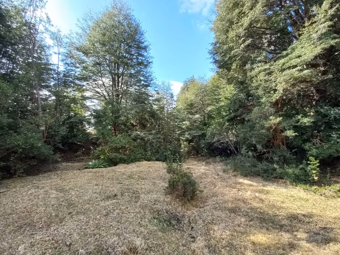 Parcela con Vista al Volcán y Acceso al Parque Nacional Villarrica | Pucón
