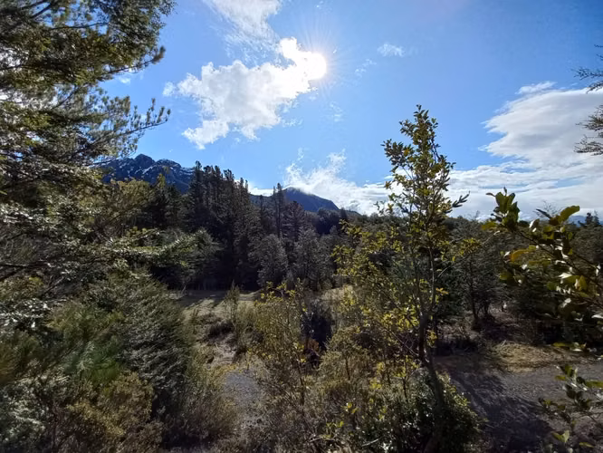 Parcela con Vista al Volcán y Acceso al Parque Nacional Villarrica | Pucón