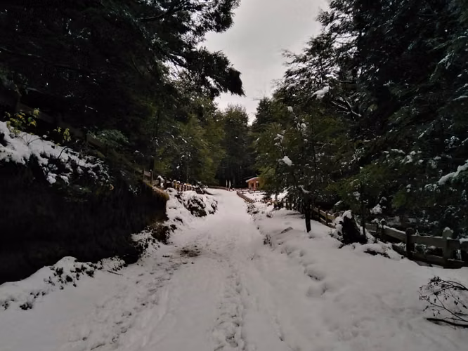 Parcela con Vista al Volcán y Acceso al Parque Nacional Villarrica | Pucón