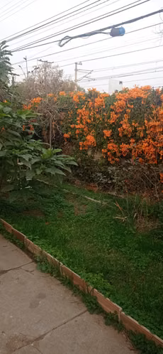 Casa Villa Alemana