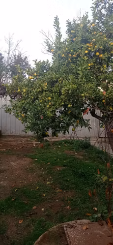 Casa Villa Alemana