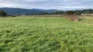 Parcela en venta en Puyehue