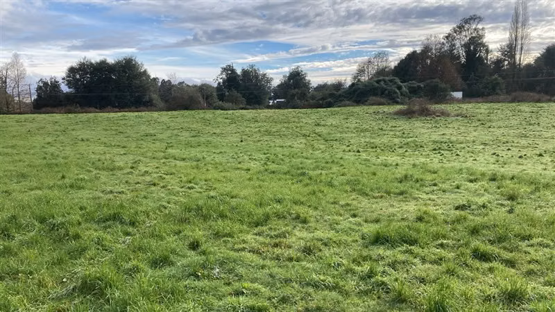 Parcela en venta en Puyehue