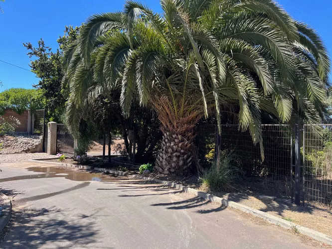 Gran terreno con excelente vista (170863)