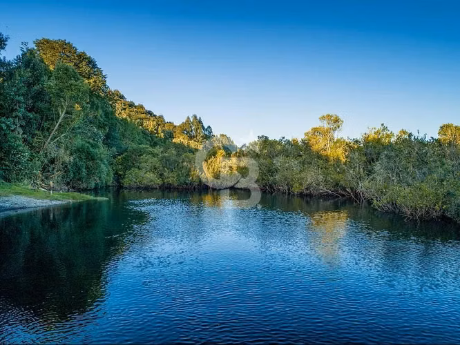 Acceso al río y vista a volcanes SIN COMISIÓN - Imagen 6