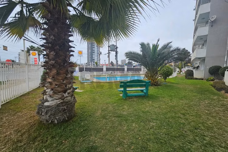 "vive tranquilo frente al mar en coquimbo" - Imagen 26