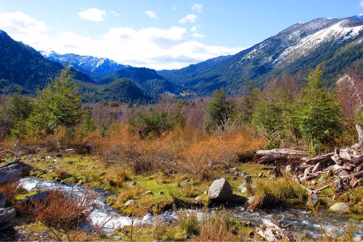 Venta domos y cabaña valle de panqui