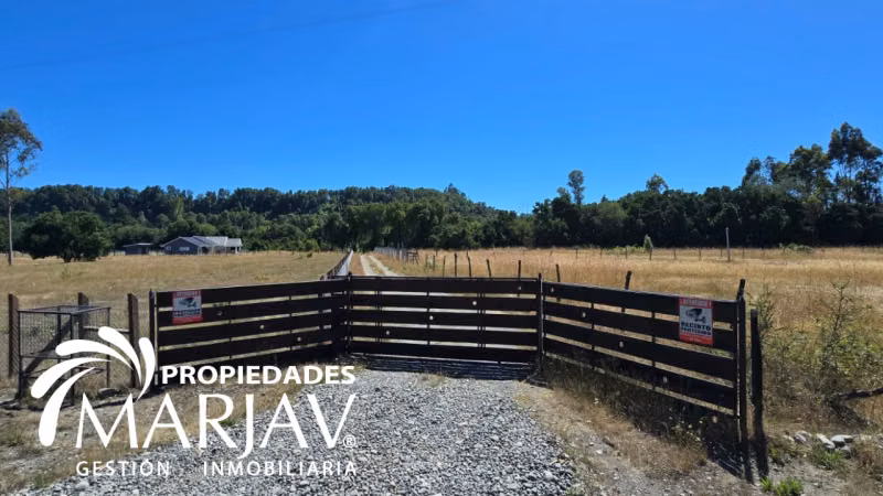 Venta de Parcela 5.000 + Galpón 112 m2, Coipúe Bajo