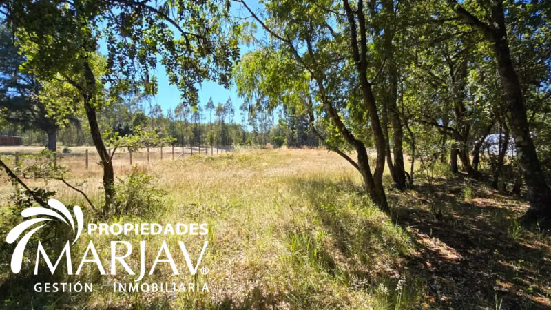 Venta de Parcela 5.000 + Galpón 112 m2, Coipúe Bajo