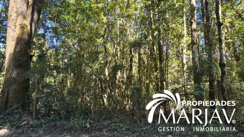 VENTA PARCELA 5000 M2, ESTERO DE QUETROCO - Imagen 5