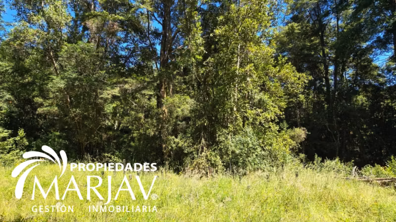 VENTA PARCELA 5000 M2, ESTERO DE QUETROCO